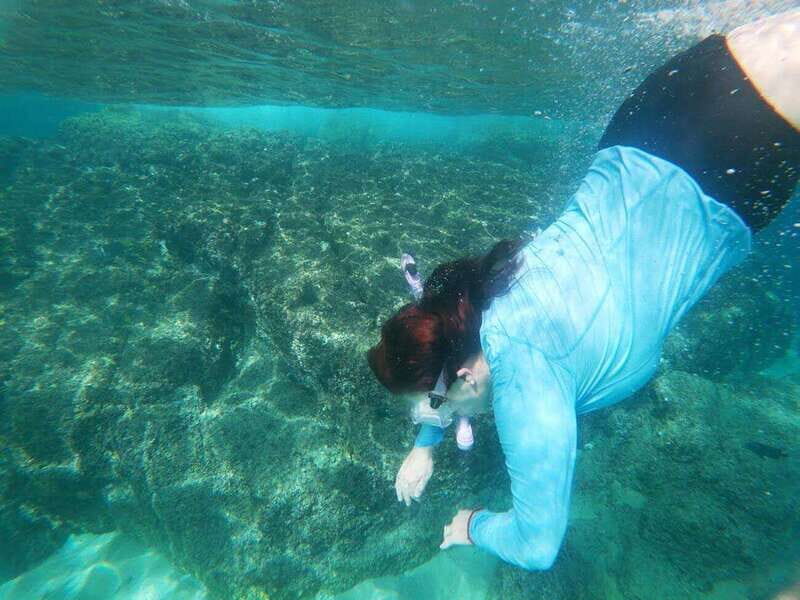 Cabo San Lucas: Kayaking Adventure Tour - Who Should Book This Tour?