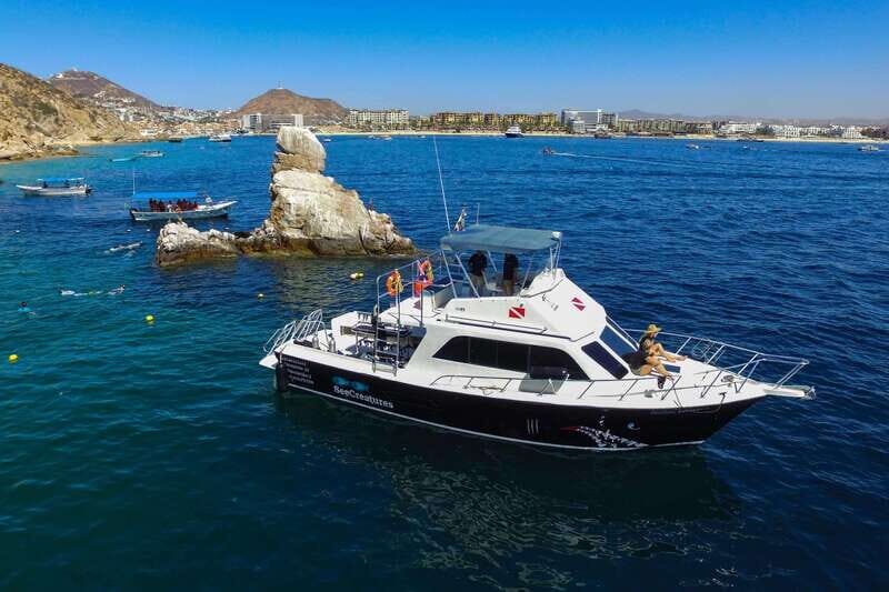Cabo San Lucas: Local Dives (CSL Marine Park) and Corridor. - Why Choose This Tour?