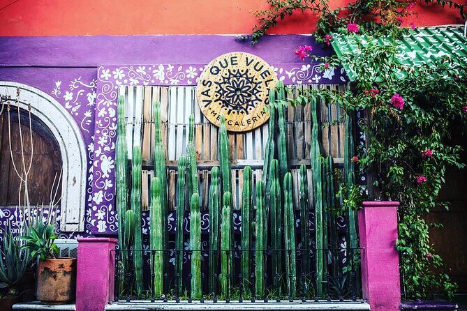 Cabo San Lucas Mezcal Tasting and Cocktail Class - Practical Details and Value