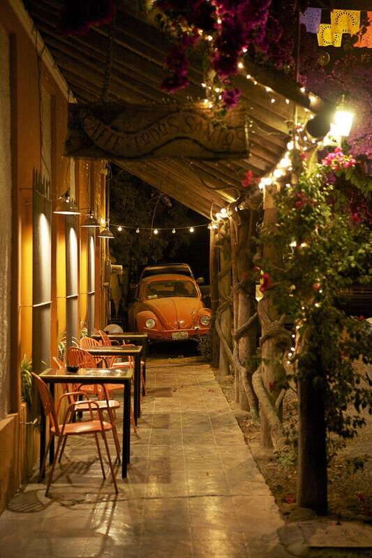 Cabo San Lucas: Private Jeep Tour to Todos Santos - Key Points