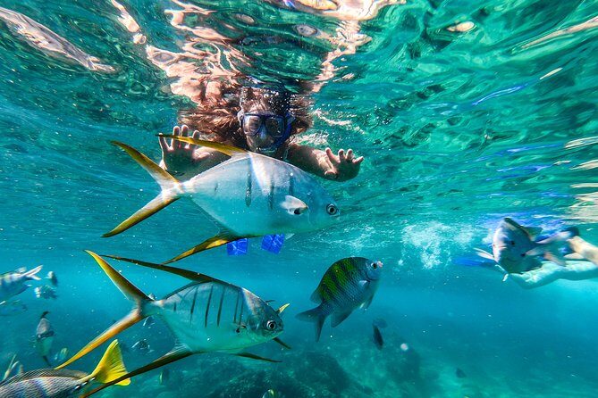 Cabo San Lucas Shopping, Tequila Tasting, and Snorkel Tour - A Deep Dive into the Cabo San Lucas Tour Experience