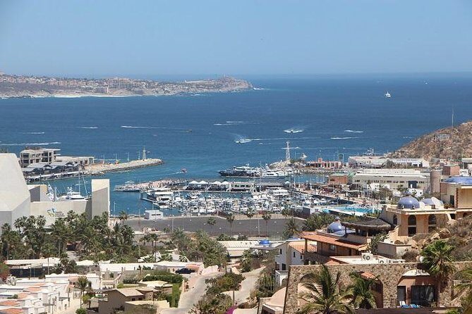 Cabo San Lucas sightseeing and Famous Arch tour - A Closer Look at the Cabo San Lucas Sightseeing and Famous Arch Tour