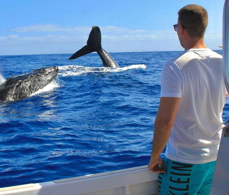 Cabo San Lucas: Snorkel Tour with Open Bar & Snacks - References