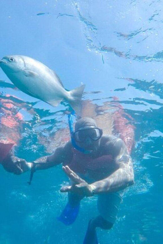 Cabo San Lucas: Snorkeling and Sailing Cruise with Lunch - Final Thoughts