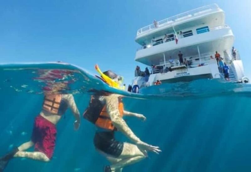 Cabo San Lucas: Snorkeling Cruise with Lunch and Open Bar - The Sum Up: Is It Worth It?