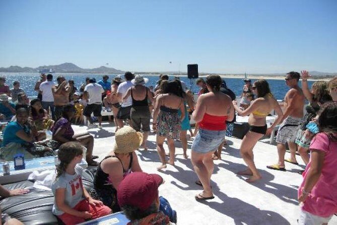 Cabo San Lucas Sunset Dinner Cruise with Open Bar - Practical Tips for Participants