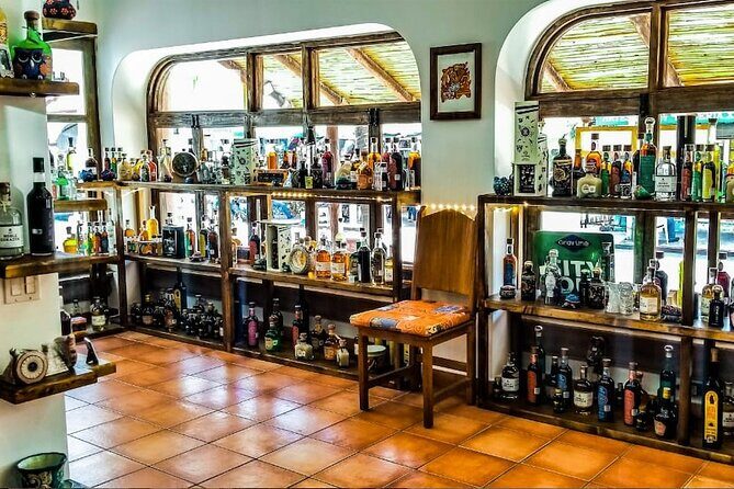 Cabo San Lucas Tequila Tasting Experience - A Closer Look at the Cabo San Lucas Tequila Tasting Experience