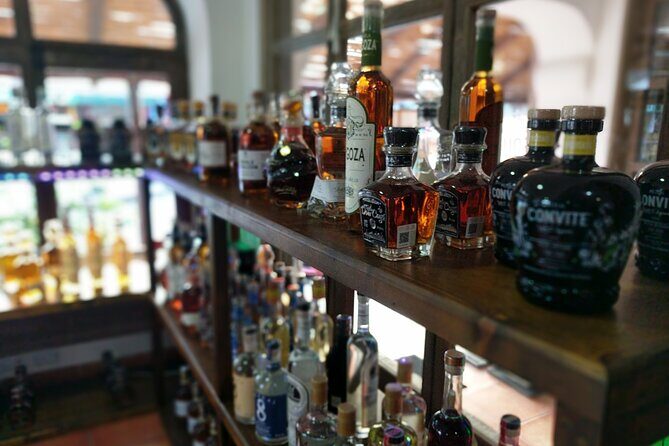 Cabo San Lucas Tequila Tasting Experience - Who Should Book This?