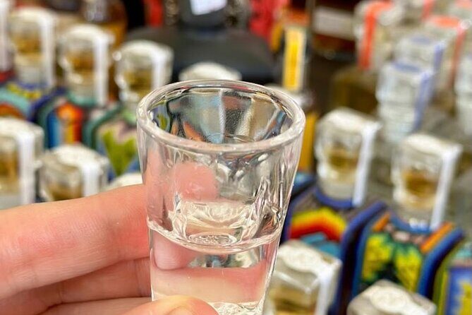 Cabo San Lucas Tequila Tasting & Mixology Class in Tasting room - Introduction