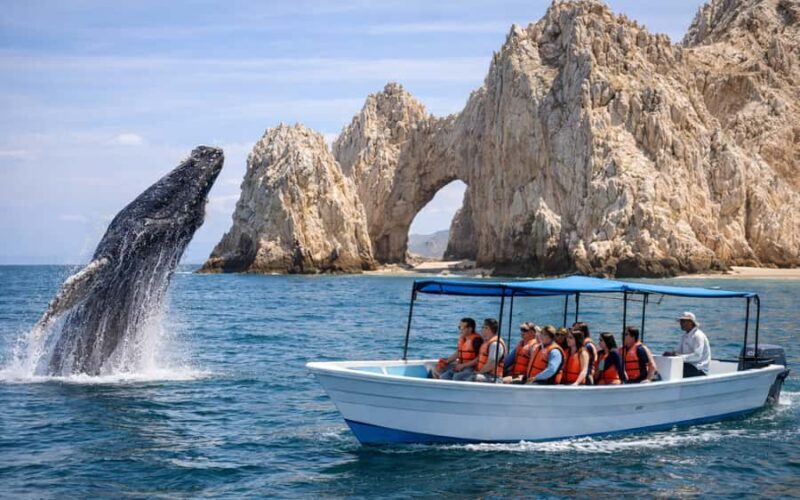 Cabo San Lucas Tour | Arch, Lovers Beach & Whale Waching - An Honest Look at What to Expect in Cabo’s Whale-Watching Tour