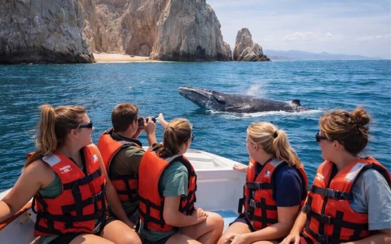 Cabo San Lucas Tour | Arch, Lovers Beach & Whale Waching - Final Thoughts: Who Will Love This Tour?