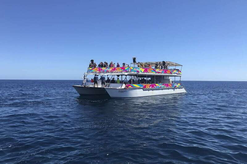 Cabo San Lucas: Whale Watching Breakfast Cruise - The Sum Up: Who Will Love This Tour?