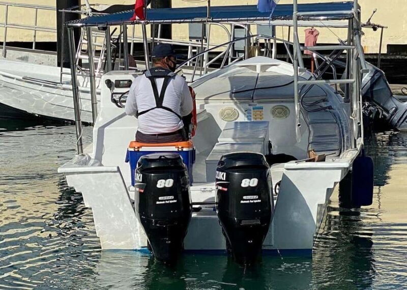 Cabo San Lucas: Whale Watching/Hearing Tour with Hydrophones - Key Points