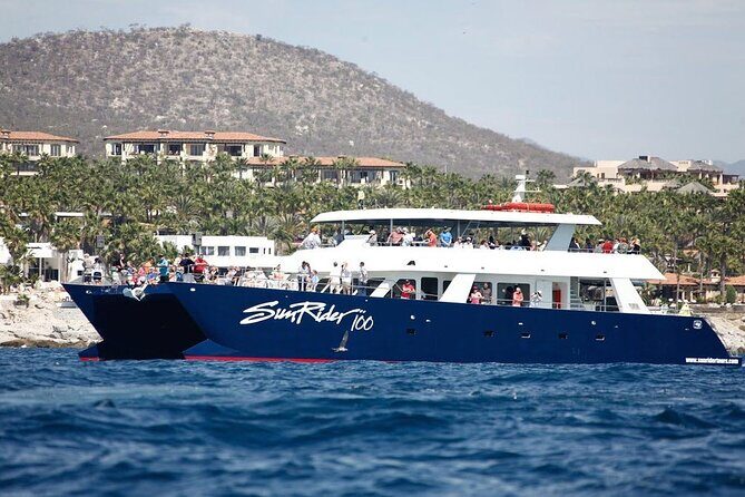 Cabo San Lucas Whale Watching Lunch Cruise - Setting Expectations for Your Cabo Whale Watching Lunch Cruise
