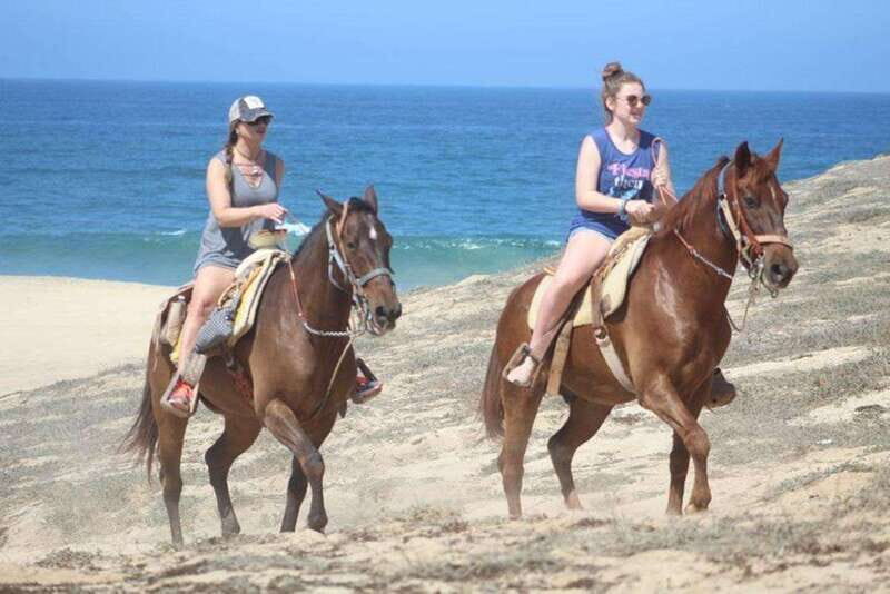 Cabo San Lucas: White Sand Horseback Adventure - An In-Depth Look at the White Sand Horseback Adventure