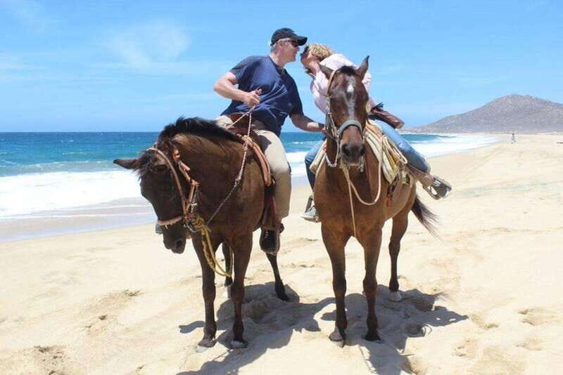 Cabo San Lucas: White Sand Horseback Adventure - Final Thoughts: Why It’s a Good Choice