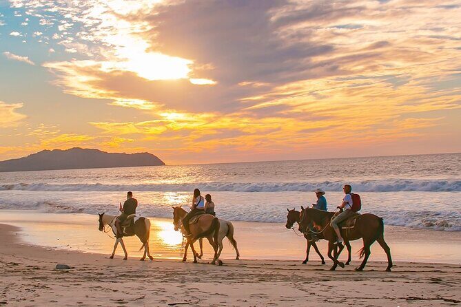 Cabo Shore Excursion: Beach Horseback Ride & Tequila Tasting - An Overview of the Experience