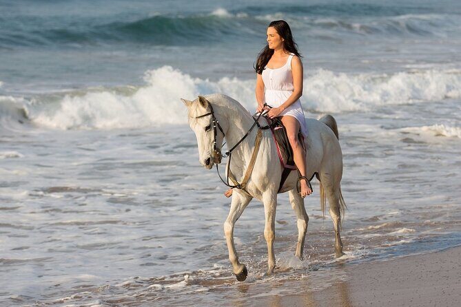 Cabo Shore Excursion: Beach Horseback Ride & Tequila Tasting - Final Thoughts