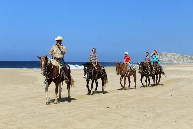 Cabo Shore Excursion: Beach Horseback Ride & Tequila Tasting - FAQs