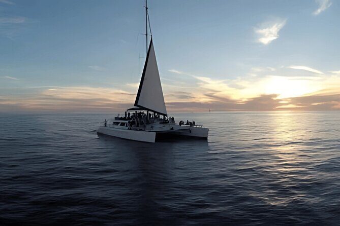 Cabo Sunset Catamaran Cruise: El Arco & Open Bar Experience - What Past Travelers Say