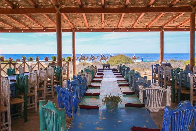 Cabo: Todo Santos Tour with Camel Ranch, Tequila and Lunch - Discovering Todos Santos: A Charming Pueblo Mágico