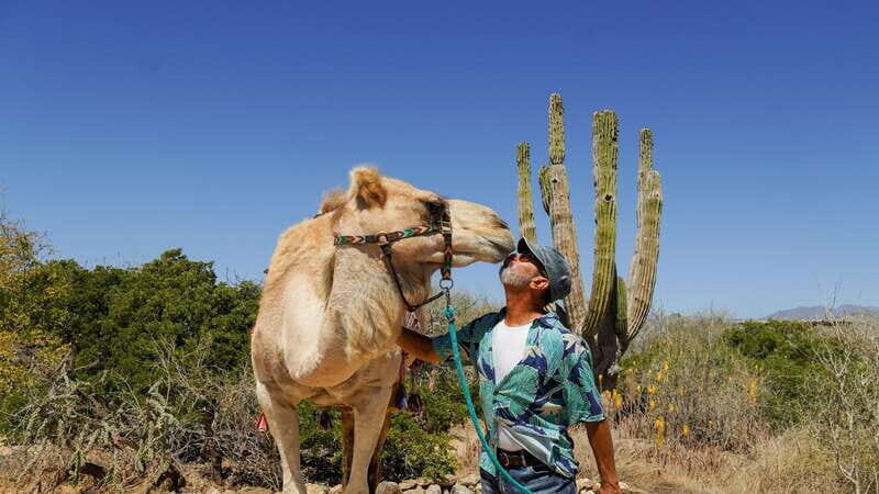 Cabo: Todo Santos Tour with Camel Ranch, Tequila and Lunch - FAQ