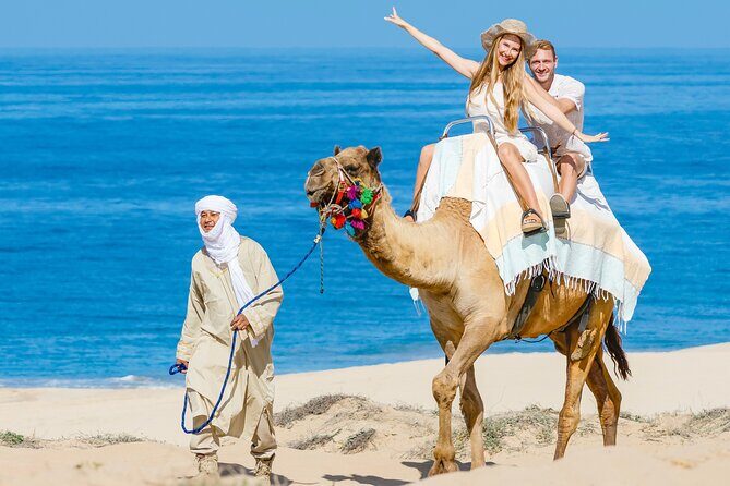 Cabo Tour Mexico Camel and Horseback Ride with ATV Adventure - Tequila Tasting: A Flavorful Finish