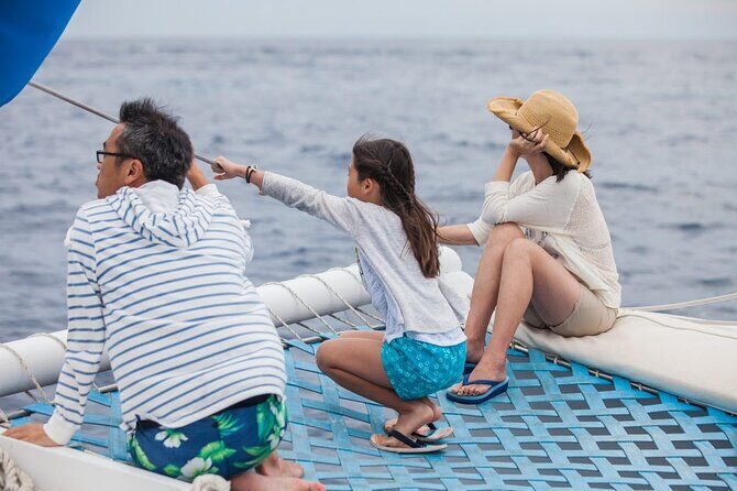 Cabo Whale Watching Cruise - The Sum Up