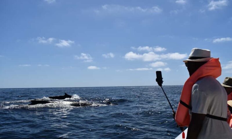 Cabo: Whale-Whatching Boat Trip w/ All-Women Crew and Photos - Frequently Asked Questions