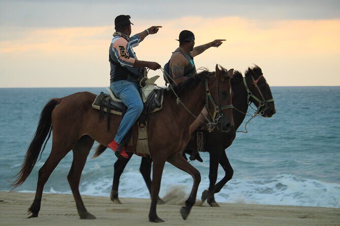 Cabo White Sand Horseback Riding Tour and Tequila Tasting - Who Should Consider This Experience?