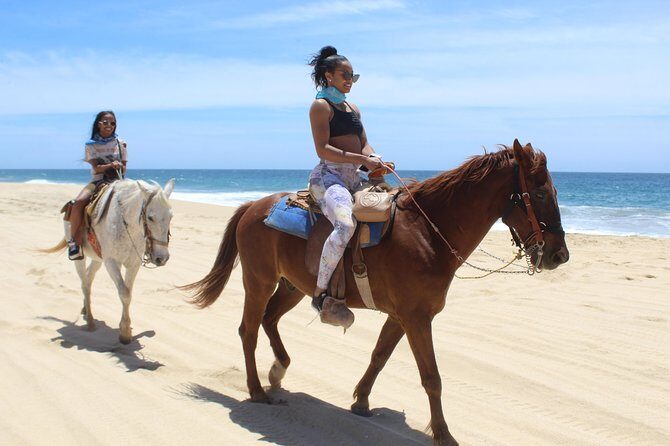 Cabo White Sand Horseback Riding Tour and Tequila Tasting - The Sum Up