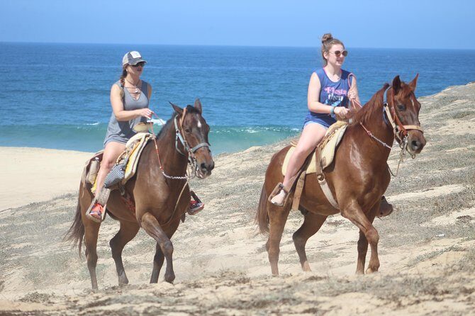 Cabo White Sand Horseback Riding Tour and Tequila Tasting - FAQ