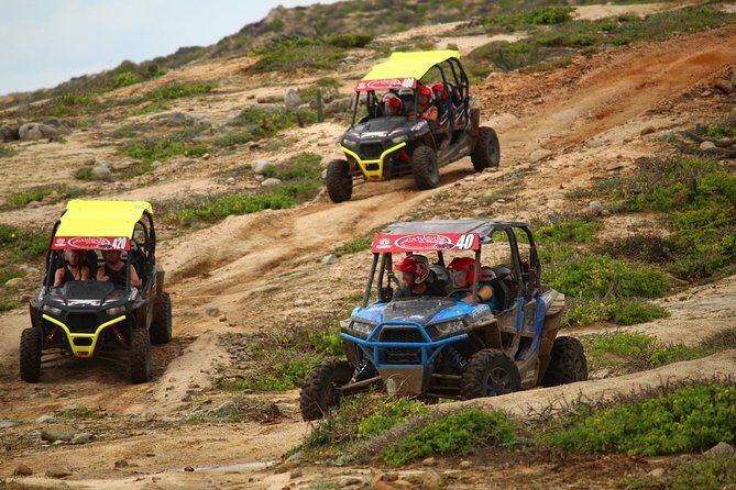 Cabo Wild Desert Tour, Polaris ATV or Razor Single, Double, Triple or Quad! - Practical Tips for Future Riders