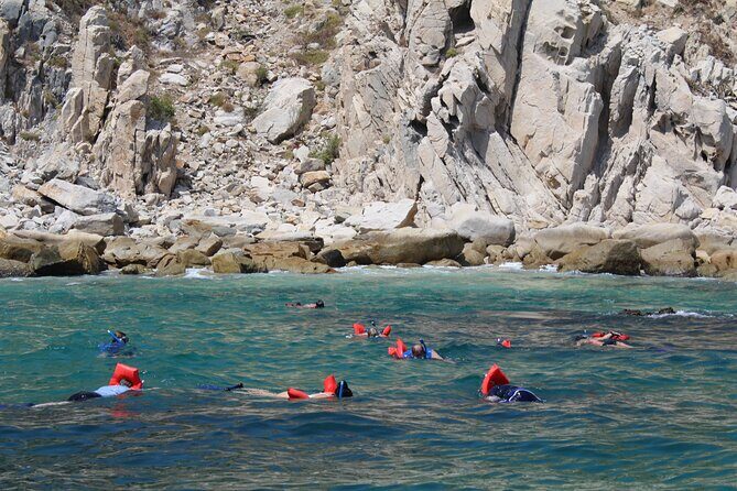 Cabo Wonders: Snorkeling at the Arch in Cabo - The Experience: What Travelers Are Saying