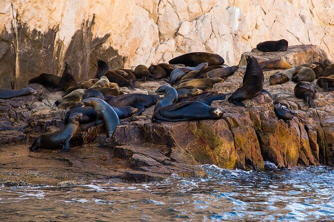 Cabo Wonders: Snorkeling at the Arch in Cabo - The Sum Up