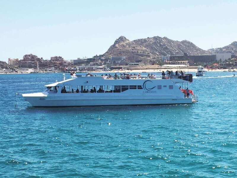 Cabos: Cabo Wave Cruise with Snorkeling, Lunch & Open Bar - Key Points