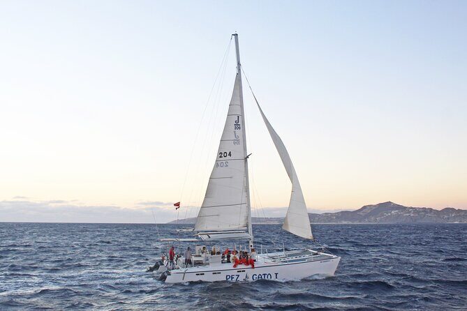 Cabo's Premier Catamaran Snorkeling: Explore the Waters! - Final Thoughts: Is It Worth It?
