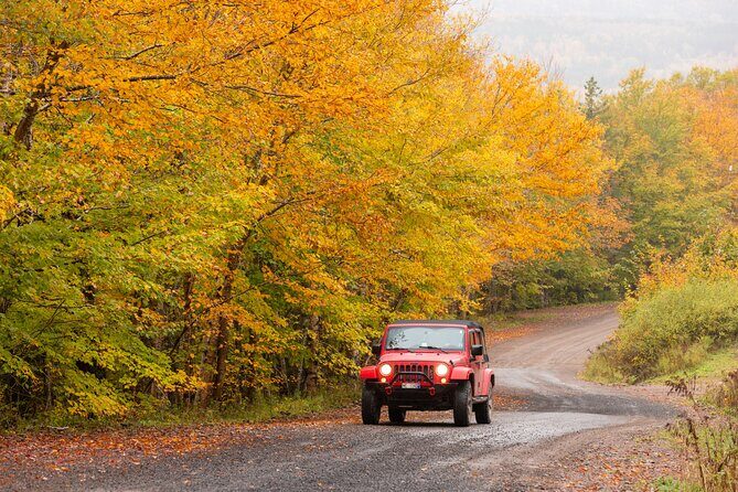 Cabot Trail Jeep Adventure - Cruise Excursion - Who Will Love This Tour?