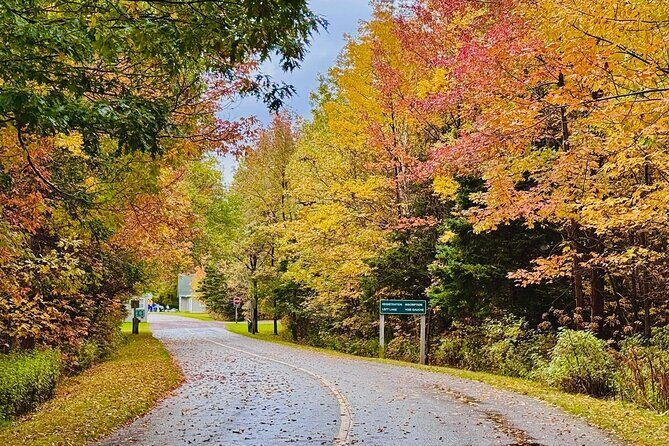 Cabot Trail Scenic Culture and Adventure Drive Tour - What’s Included and What’s Not