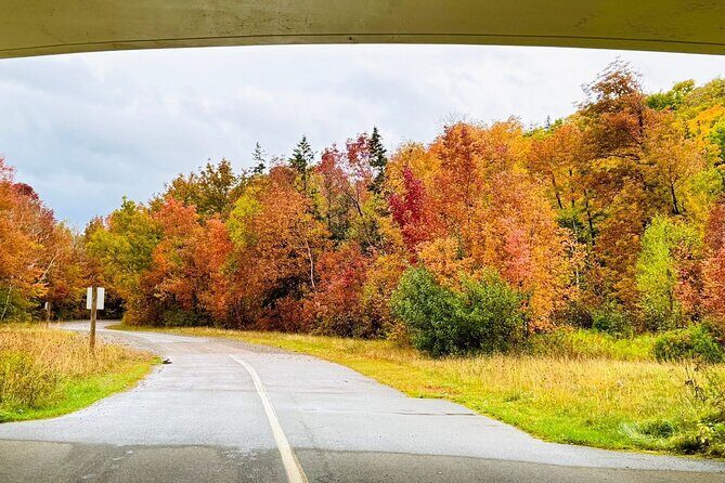 Cabot Trail Scenic Culture and Adventure Drive Tour - Does It Offer Good Value?