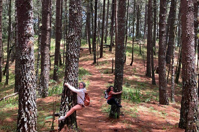 Cacao day experience from the wood to your cup! - A Cacao Day Experience from the Wood to Your Cup: An Honest Look