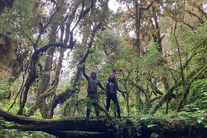 Cacao day experience from the wood to your cup! - Who Should Consider This Tour?