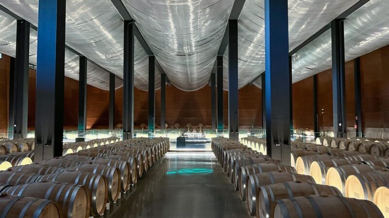 Cáceres: Bodegas Habla - Why This Tour Is Worth Considering