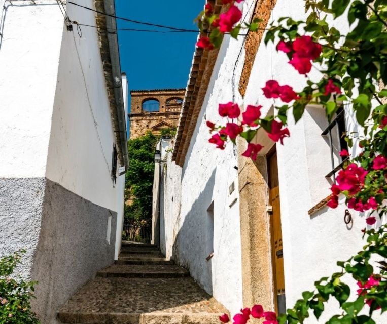 Caceres: City Highlights Private Guided Walking Tour - The Sum Up