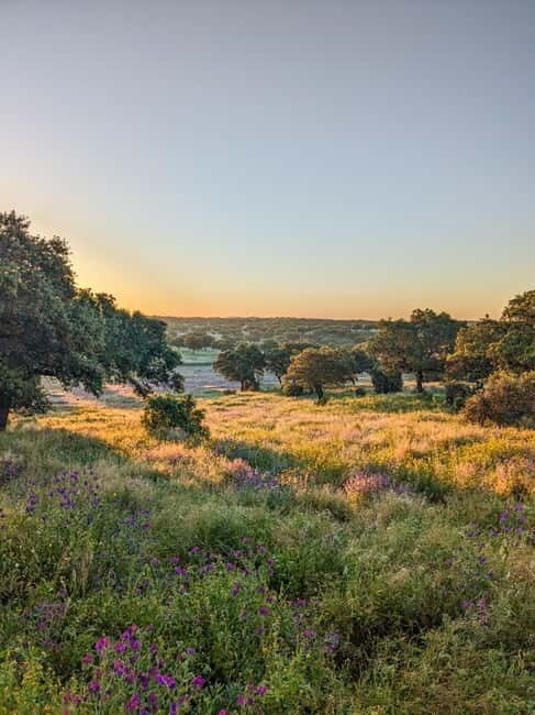Cáceres: Monfrague Wildlife Full-Day Tour - Discover the Wild Heart of Extremadura: Cáceres Monfrague Wildlife Full-Day Tour