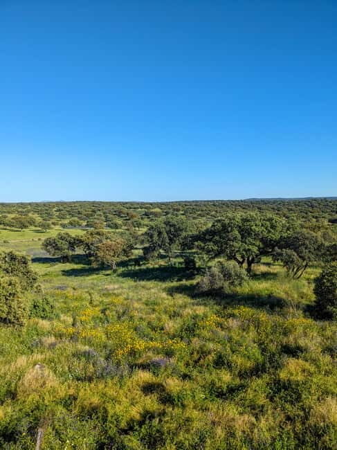 Cáceres: Monfrague Wildlife Full-Day Tour - Key Points