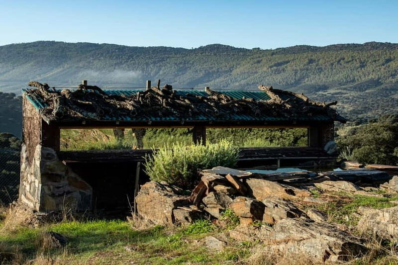 Cáceres: Monfrague Wildlife Full-Day Tour - Final Thoughts