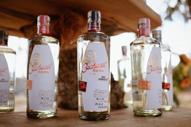 Cachasol Raicilla and Tequila Tour - Why This Tour Offers Great Value