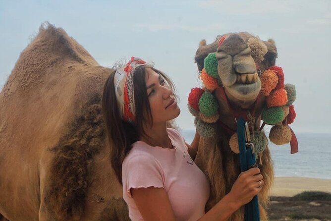 Cactus Combo Combine two of your favorite desert tours - Practical Tips for Travelers