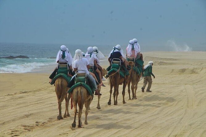 Cactus Combo Combine two of your favorite desert tours - Final Thoughts